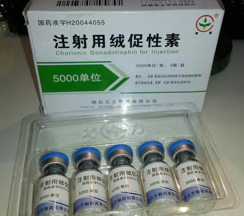 Buy Pregnyl (Generic HCG/Human Chorionic Gonadotropin) - Yantai Beifang Pharmaceutical (China) 