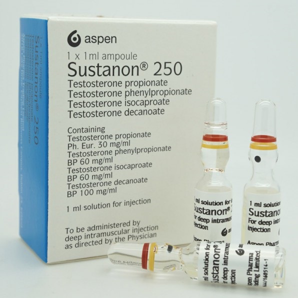 Buy Sustanon 250 Aspen Pharma Trading Limited (Ireland) Usa online image